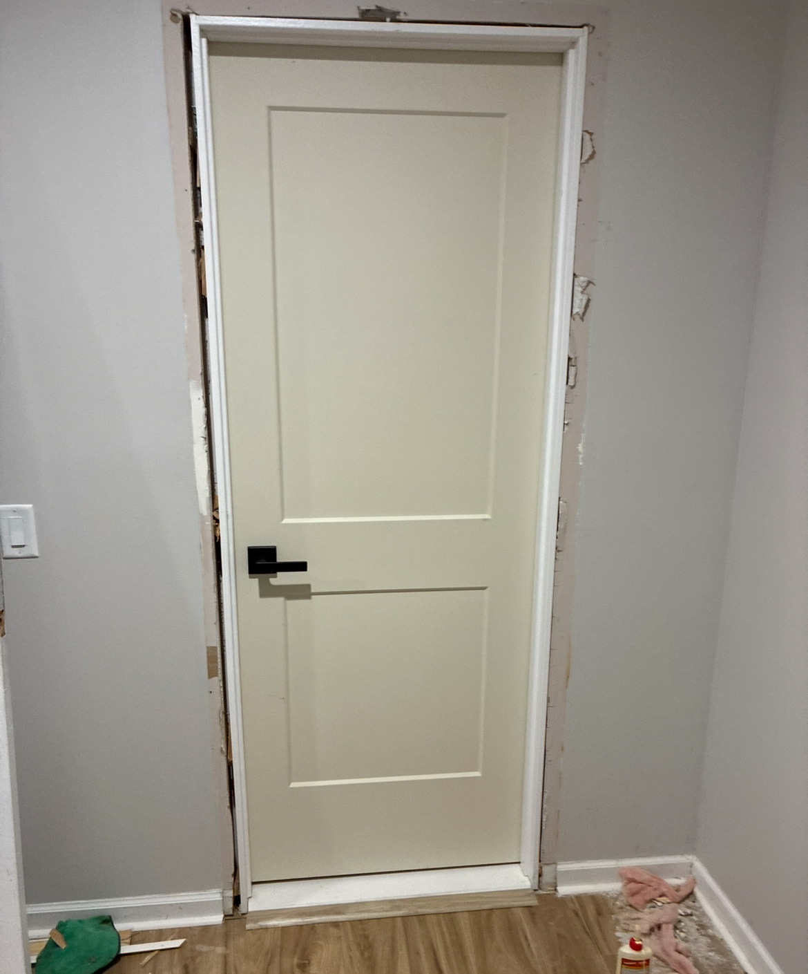 Door installation project photo 1